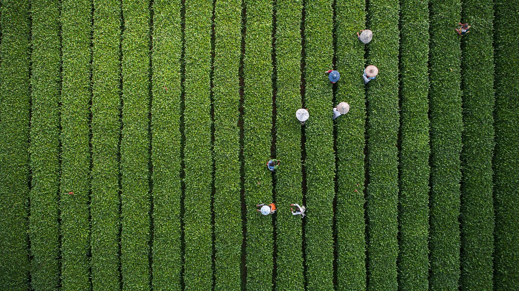 從聶市鎮(zhèn)開始，征服世界！